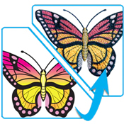 Icon Images